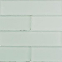 Ocean Mist Beached 9 Loose Pieces 2 in. x 8 in. x 8 mm Frosted Glass Mosaic Tile